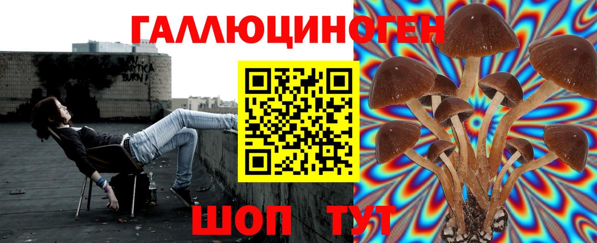 Галлюциногенные грибы Psilocybe Россошь